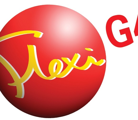 FlexiG4 Logo